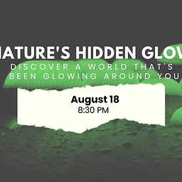 Nature’s Hidden Glow