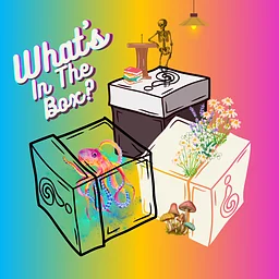 What's in the Box? | Comedy & Improv