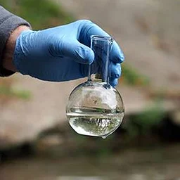 Pond Patrol: Exploring Water Quality Indicators