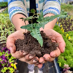 Zoom in on Soils - Online Only