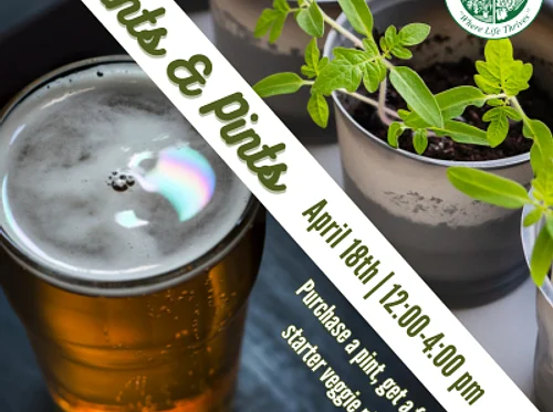 Plants & Pints with Phelan Gardens