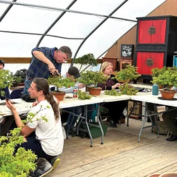 Bonsai Essentials 3: Workshop with Peter Olsen