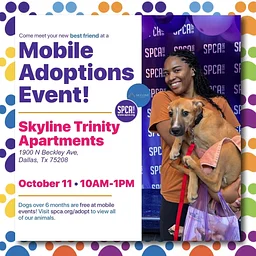 Mobile Adoptions at Skyline Trinity Apartments