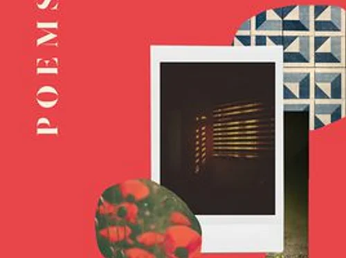 D.S. Waldman in conv with Austin Araujo – ATRIA