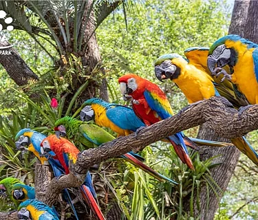 Conservation Connections: World Wildlife Conservation Day 2026