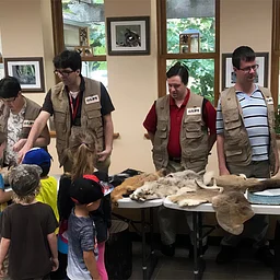 Wildlife Connections