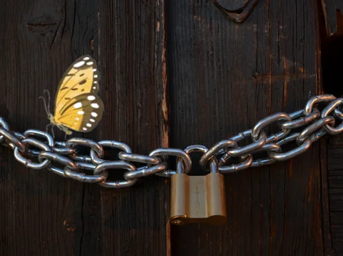 The Locked Barn Escape Room