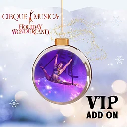 Cirque Musica Holiday Wonderland: VIP Add On