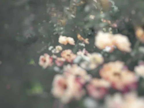 Ashley Woodson Bailey: What Remains