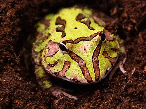 Hands-On Homeschool: Wild Weather