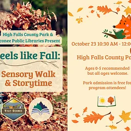 Feels like Fall: Sensory Walk & Storytime