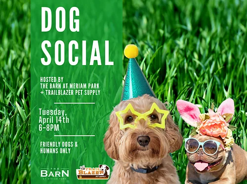 Dog Social