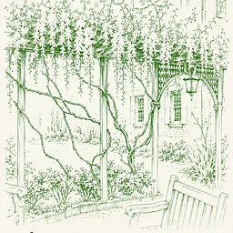 August 20th: Summer in the Garden