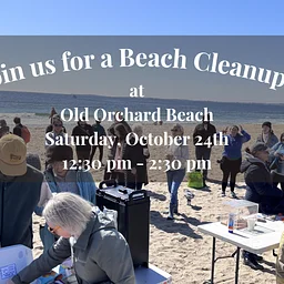 Join MCV & MCA for a Beach Clean-up!
