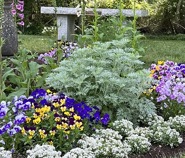 Native Plants, Heirloom Flowers, and a Brewster Garden's History