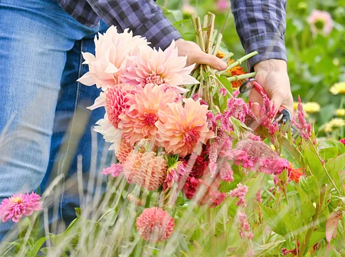 Cut Flower Arranging