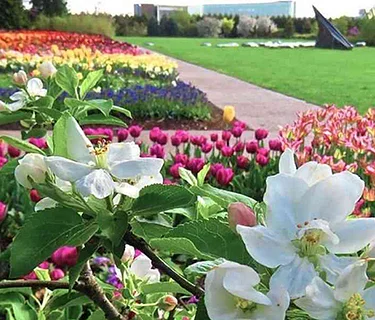 Centre County in Bloom Trip