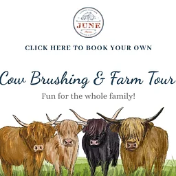 Animal Activities and Farm Tours