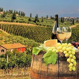 Wine Tour April 2027