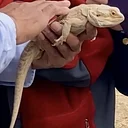 Quogue Wildlife Refuge: Reptiles – Noon & 1:30
