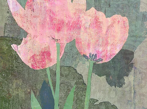 Procreate for Beginningers