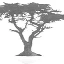 Lompoc Valley Art Association