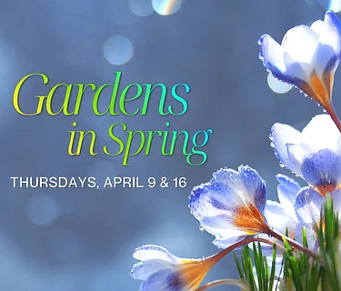 Gardens in Spring (Week 2)