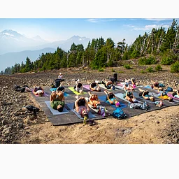 Yoga in the Wild