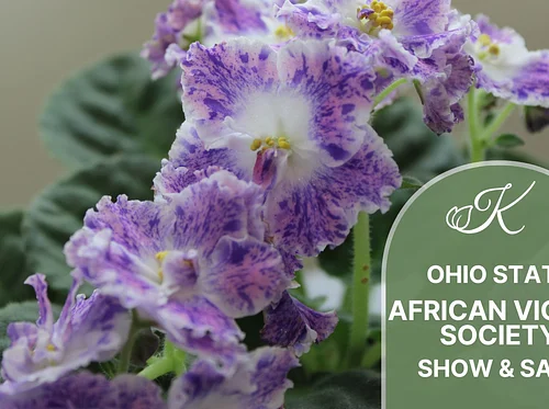Ohio State African Violet Society Show & Sale