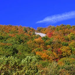 Second Sunday Stroll: Chasing Fall Color — November 8, 2026