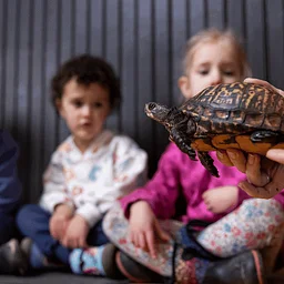 Animal Encounter: World Animal Day (for families, Ages 4+)