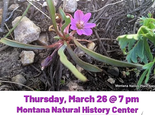 Trivia night – Missoula