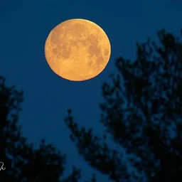 Moonlight Hike with Kelly Orr and Gerri Griswold