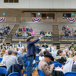 Junior Premium Livestock Auction