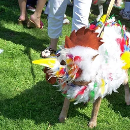 HOWL-O-WEEN Dog Costume Contest 2026