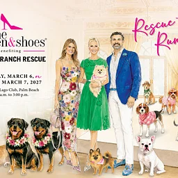 Wine Women & Shoes