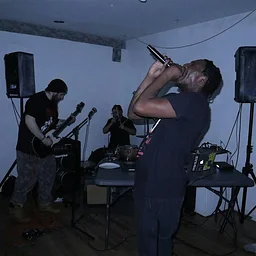 Selfless Demise / Worm Circus / House Trashers / 7 Story Fall / DJ Riddick +More