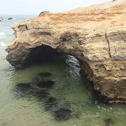 🌊 Mussel Rock Community Hike
