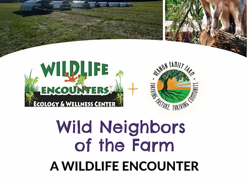 Wild Neighbors of the Farm | A wildlife encounter