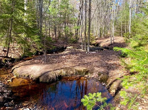 Autumn Magic in the Maine Woods