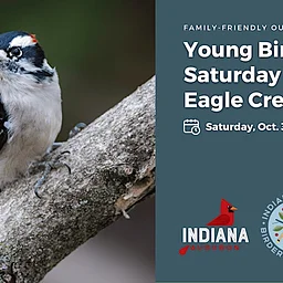 Young Birders Saturday Outing at Eagle Creek Park
