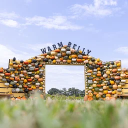 Full Harvest- Sunday 11/1
