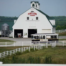 Adult Trolley Tours