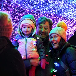 Wild Lights