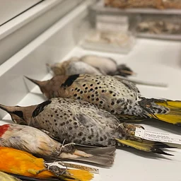 Insider Science Tour: Biology