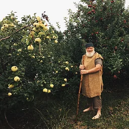 Johnny Appleseed Day