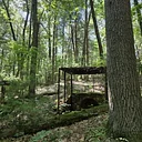 Shade Swamp Sanctuary Hike with CT DEEP Habitat Biologist Peter Picone and Gerri Griswold