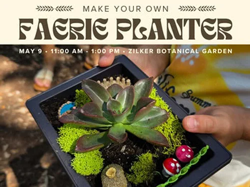 Faerie Planter Workshop