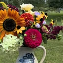 Summer Flower Arranging & Conditioning Workshop