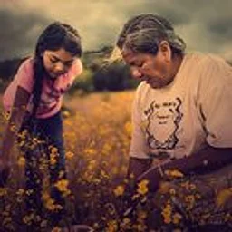 Indigenous Film Night: Gather